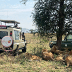 Motorcycle Tours India for Digital Nomads: Riding, Working, and Exploring