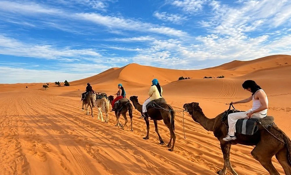 Is a Sahara Desert Tour from Marrakech Worth It? What to Expect